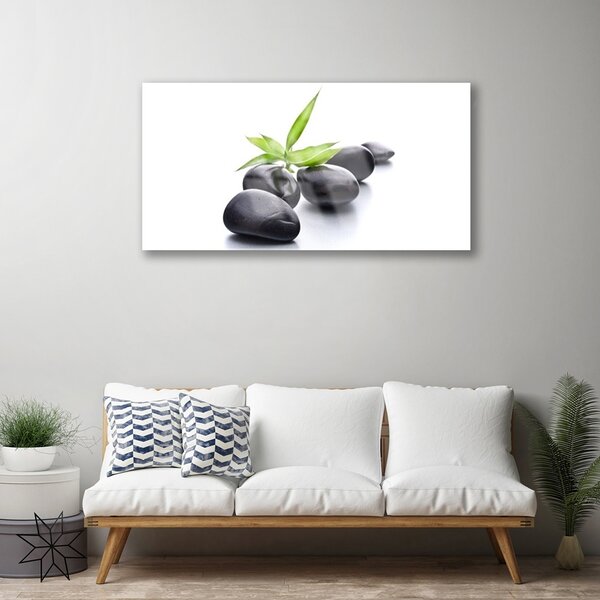 Skleneny obraz Kamene umenie 100x50 cm 2 Prívesky
