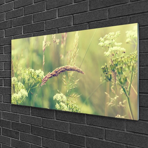 Skleneny obraz Divoké rastliny príroda 100x50 cm 2 Prívesky