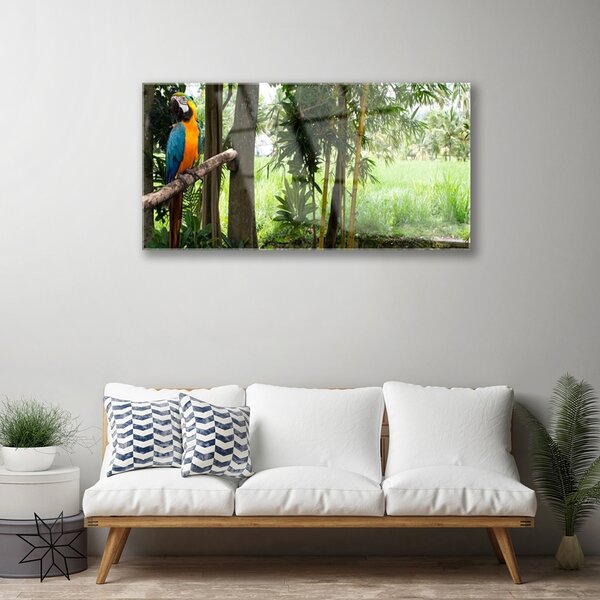 Skleneny obraz Papagáj stromy príroda 100x50 cm 2 Prívesky