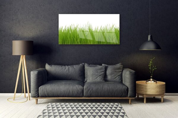 Skleneny obraz Tráva rastlina príroda 100x50 cm 2 Prívesky