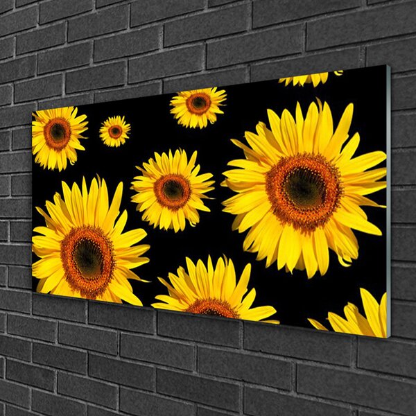 Skleneny obraz Slnečnica rastlina príroda 100x50 cm 2 Prívesky