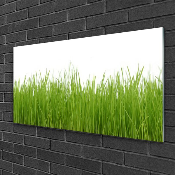 Skleneny obraz Tráva rastlina príroda 100x50 cm 2 Prívesky