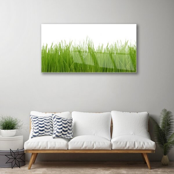 Skleneny obraz Tráva rastlina príroda 100x50 cm 2 Prívesky