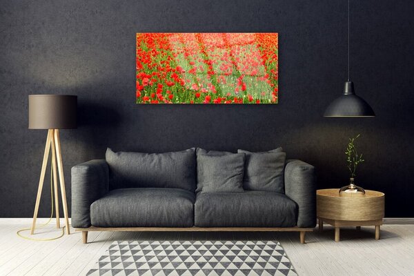 Skleneny obraz Maky rastlina príroda 100x50 cm 4 Prívesky