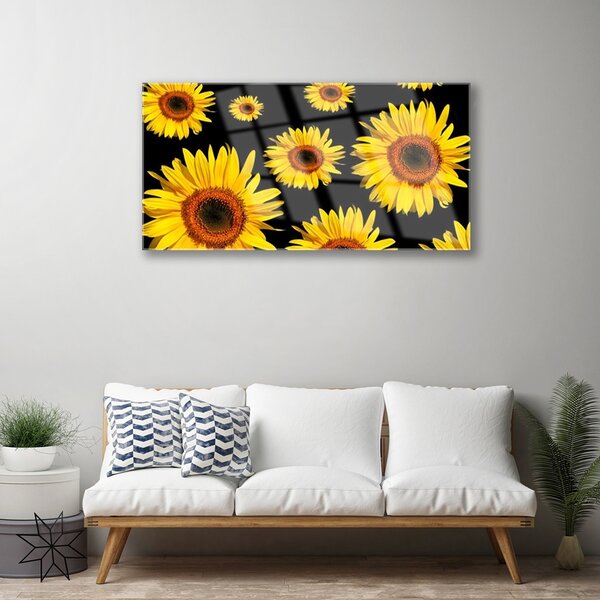Skleneny obraz Slnečnica rastlina príroda 100x50 cm 2 Prívesky