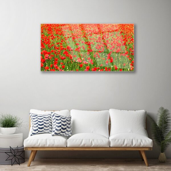 Skleneny obraz Maky rastlina príroda 100x50 cm 4 Prívesky