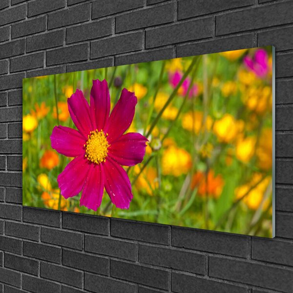 Skleneny obraz Kvet rastlina príroda 100x50 cm 2 Prívesky