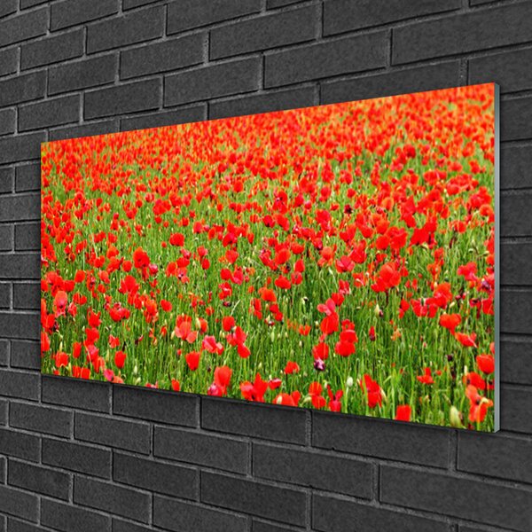 Skleneny obraz Maky rastlina príroda 100x50 cm 4 Prívesky