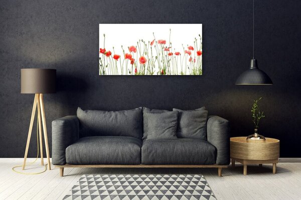 Skleneny obraz Maky rastlina príroda 100x50 cm 2 Prívesky