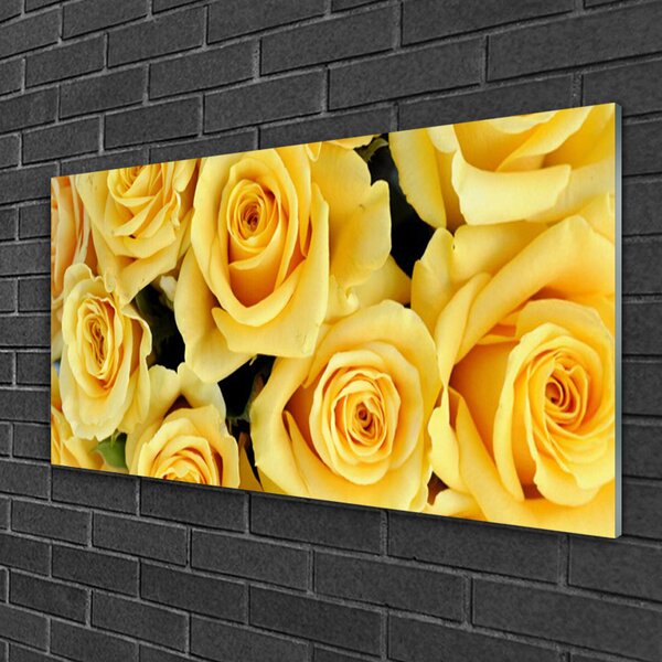 Skleneny obraz Ruže kvety rastlina 100x50 cm 2 Prívesky