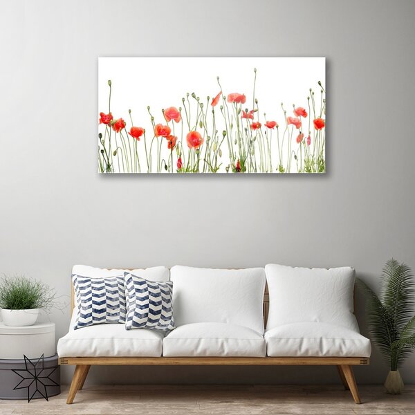 Skleneny obraz Maky rastlina príroda 100x50 cm 2 Prívesky
