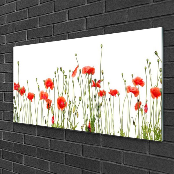 Skleneny obraz Maky rastlina príroda 100x50 cm 2 Prívesky