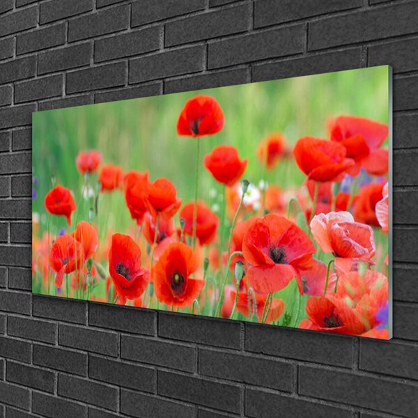 Skleneny obraz Maky rastlina príroda 100x50 cm 2 Prívesky