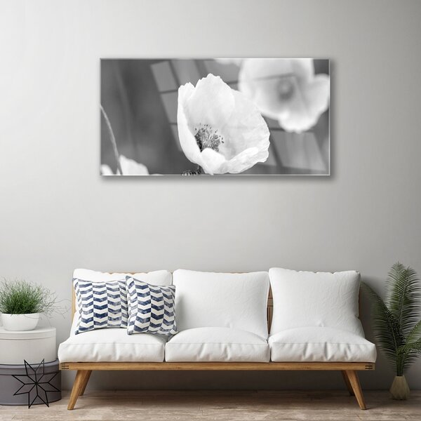 Skleneny obraz Maky rastlina príroda 100x50 cm 2 Prívesky