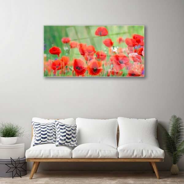 Skleneny obraz Maky rastlina príroda 100x50 cm 2 Prívesky