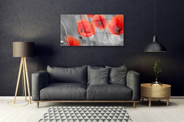Skleneny obraz Maky rastlina príroda 100x50 cm 2 Prívesky