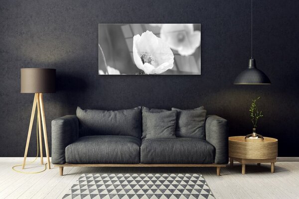 Skleneny obraz Maky rastlina príroda 100x50 cm 2 Prívesky