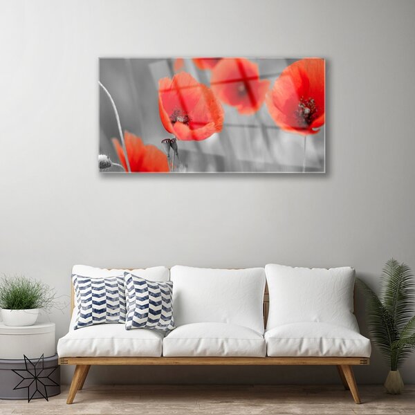 Skleneny obraz Maky rastlina príroda 100x50 cm 2 Prívesky