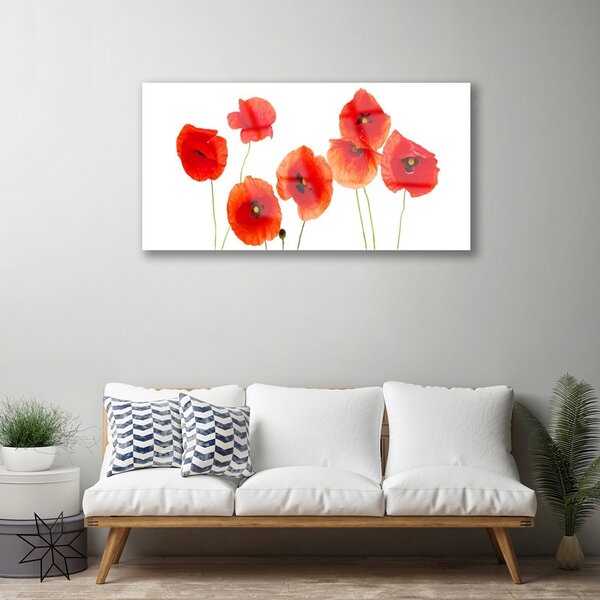 Skleneny obraz Maky rastlina príroda 100x50 cm 2 Prívesky