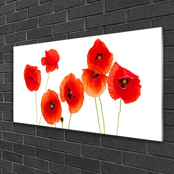Skleneny obraz Maky rastlina príroda 100x50 cm 2 Prívesky