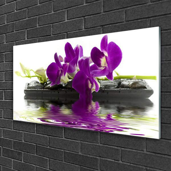 Skleneny obraz Kvety rastlina príroda 100x50 cm 2 Prívesky