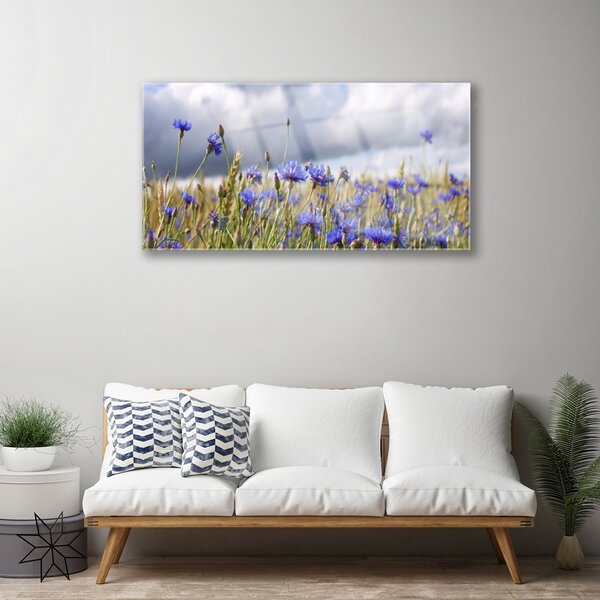 Skleneny obraz Kvety rastlina príroda 100x50 cm 2 Prívesky