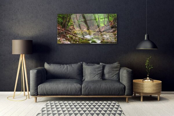 Skleneny obraz Les mech príroda 100x50 cm 2 Prívesky