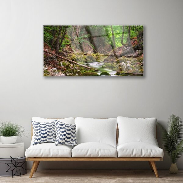 Skleneny obraz Les mech príroda 100x50 cm 2 Prívesky