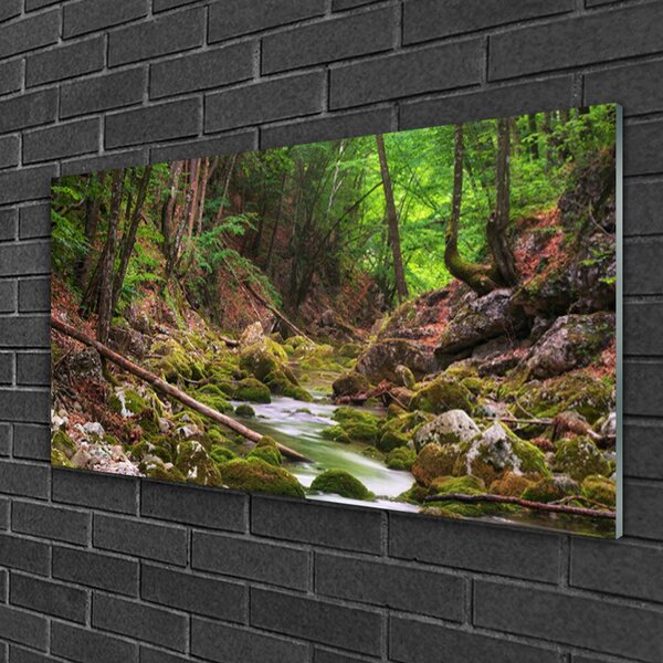 Skleneny obraz Les mech príroda 100x50 cm 2 Prívesky