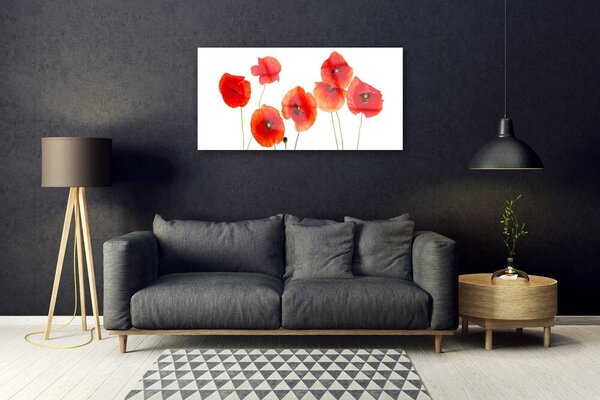 Skleneny obraz Maky rastlina príroda 100x50 cm 2 Prívesky
