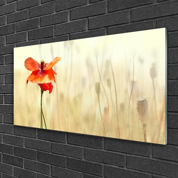 Skleneny obraz Maky rastlina príroda 100x50 cm 2 Prívesky