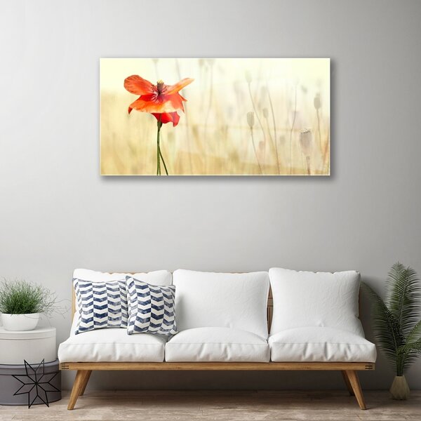 Skleneny obraz Maky rastlina príroda 100x50 cm 2 Prívesky