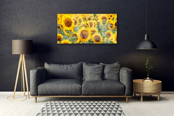 Skleneny obraz Slnečnica rastlina príroda 100x50 cm 2 Prívesky