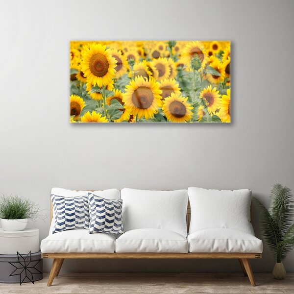 Skleneny obraz Slnečnica rastlina príroda 100x50 cm 2 Prívesky
