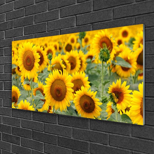 Skleneny obraz Slnečnica rastlina príroda 100x50 cm 2 Prívesky