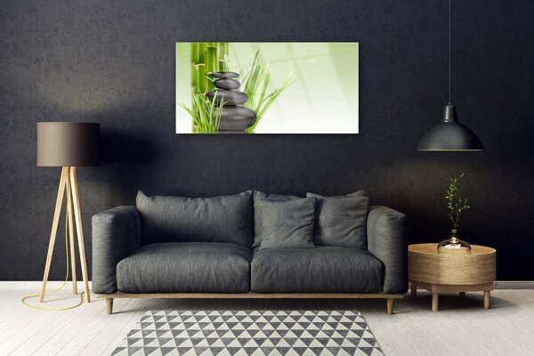 Skleneny obraz Bambus tráva rastlina príroda 100x50 cm 2 Prívesky