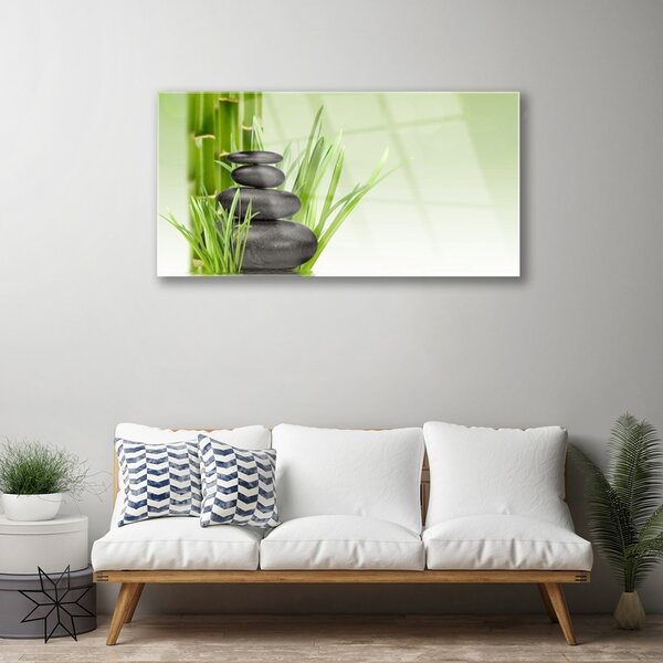 Skleneny obraz Bambus tráva rastlina príroda 100x50 cm 2 Prívesky