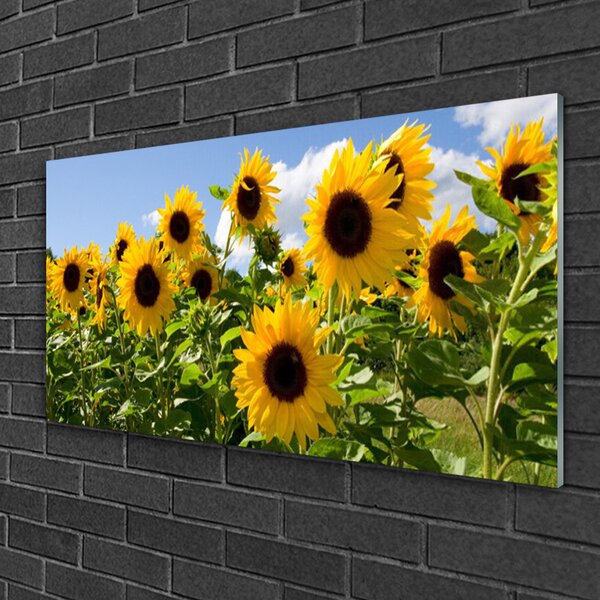 Skleneny obraz Slnečnica kvet rastlina 100x50 cm 4 Prívesky