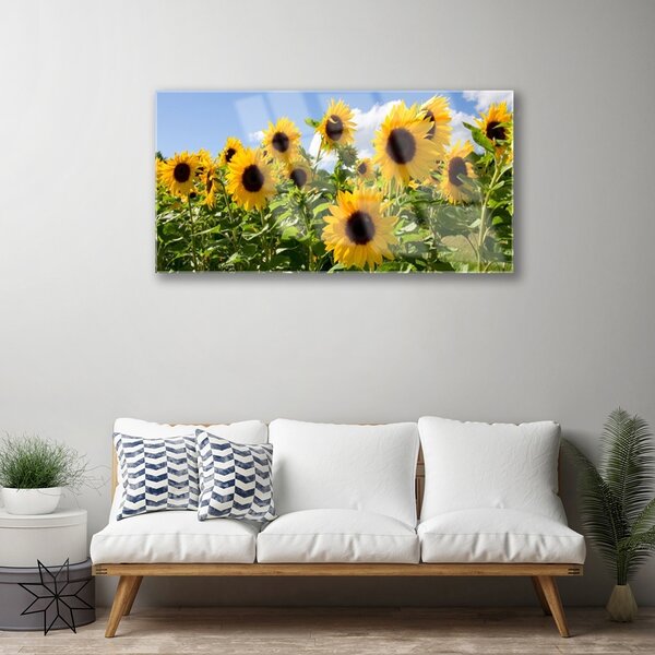 Skleneny obraz Slnečnica kvet rastlina 100x50 cm 4 Prívesky