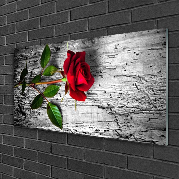 Skleneny obraz Ruže kvet rastlina 100x50 cm 2 Prívesky