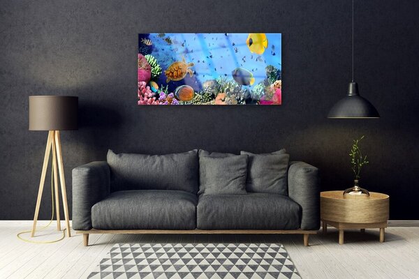 Skleneny obraz Koralový útes príroda 100x50 cm 2 Prívesky