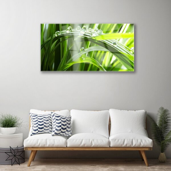 Skleneny obraz Tráva rosa kvapky rastlina 100x50 cm 2 Prívesky