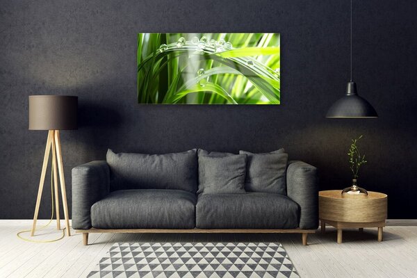 Skleneny obraz Tráva rosa kvapky rastlina 100x50 cm 2 Prívesky