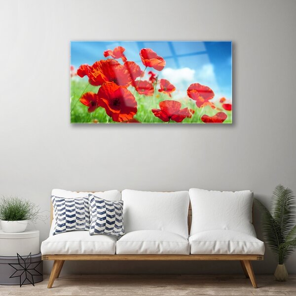 Skleneny obraz Maky rastlina príroda 100x50 cm 2 Prívesky
