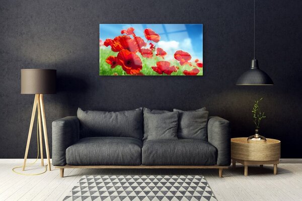 Skleneny obraz Maky rastlina príroda 100x50 cm 2 Prívesky