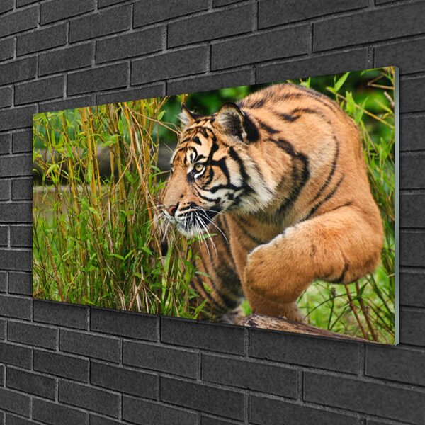 Skleneny obraz Tiger zvieratá 100x50 cm 2 Prívesky