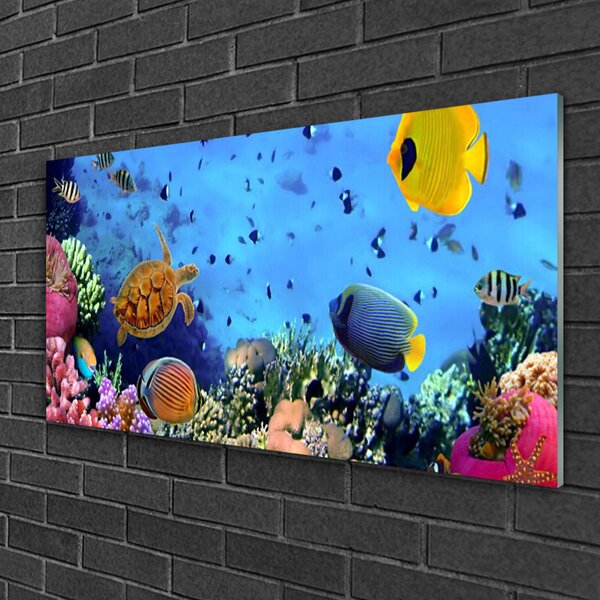 Skleneny obraz Koralový útes príroda 100x50 cm 2 Prívesky
