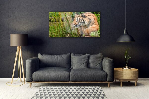 Skleneny obraz Tiger zvieratá 100x50 cm 2 Prívesky