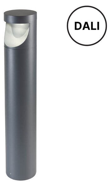 REDO 90501-DALI XWALK vonkajšie stojanové svietidlo/stĺpik SMD LED V800mm 12W 1558/1335lm 3000K IP65 tmavo šedá