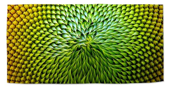 Sablio Uterák Detailný kvet - 30x50 cm